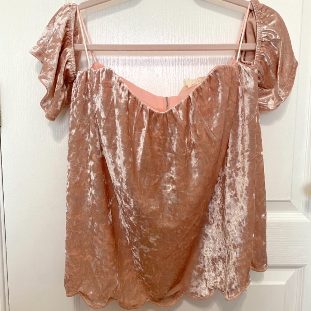 NWT Velvet Pink Top from Francesca’s Size Medium - Picture 2 of 16